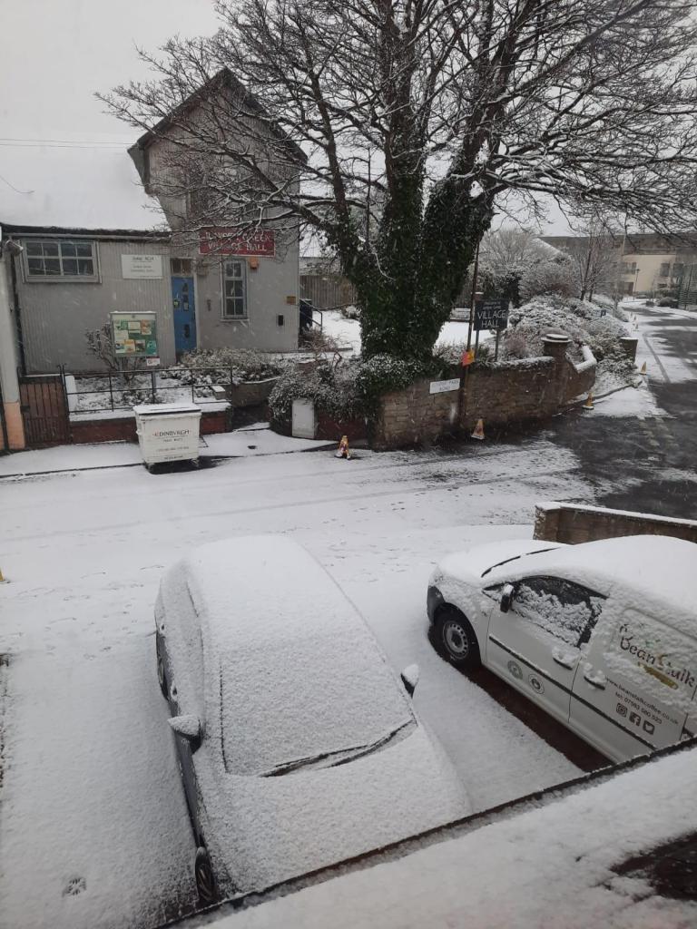 A snowy scene with the old tree that had to come down